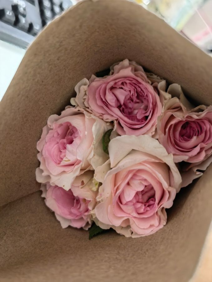 玫瑰花是最经典的表达爱意的花朵之一。